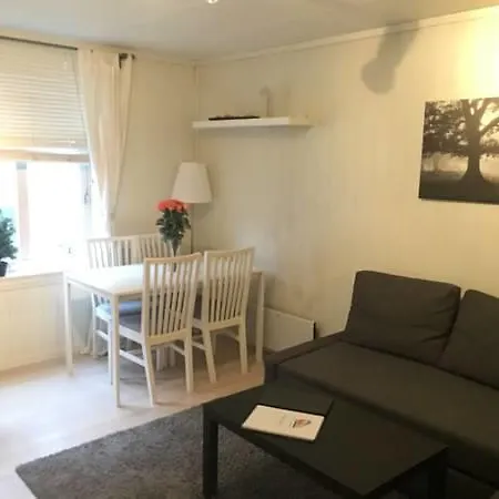 Budget Sekkegaten 103 Apartment